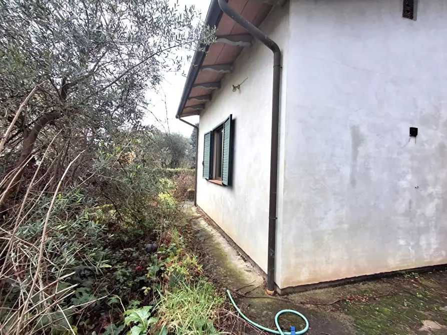 Immagine 4 di Loft/Open space in vendita  a Capannori