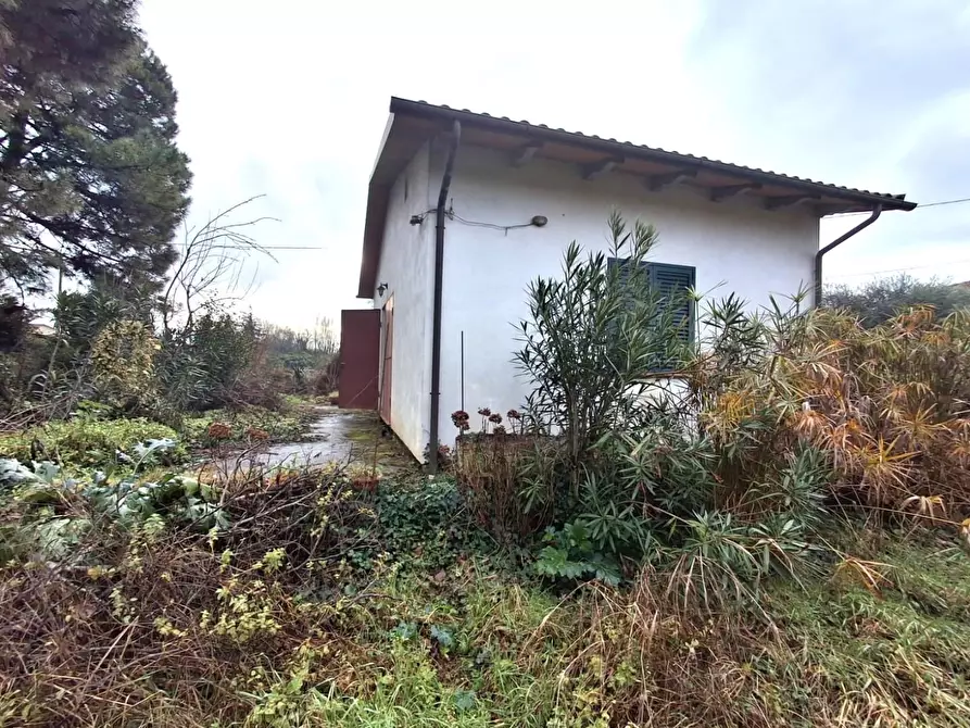 Immagine 3 di Loft/Open space in vendita  a Capannori