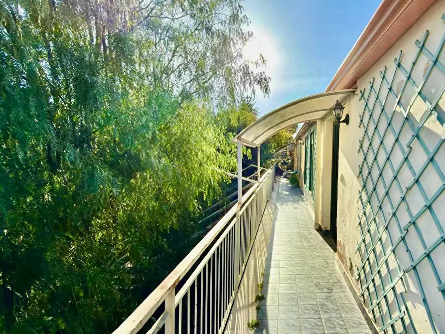 Immagine 3 di Appartamento in affitto  a Palermo