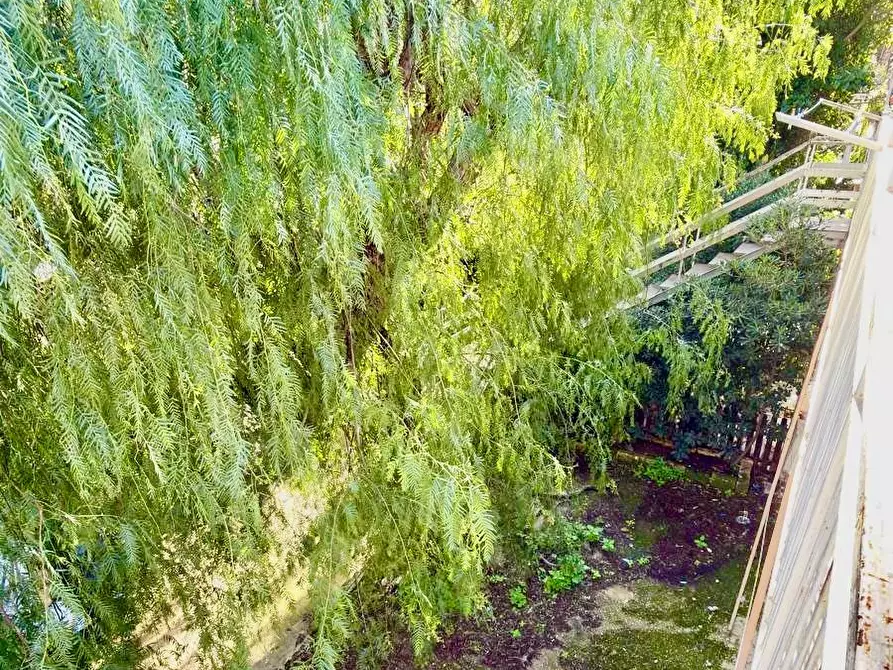 Immagine 9 di Appartamento in affitto  a Palermo