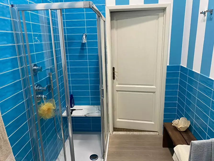 Immagine 33 di Casa indipendente in affitto  a Forte Dei Marmi