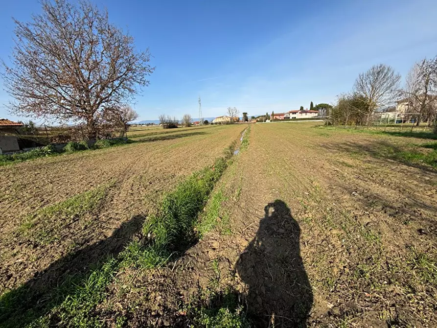 Immagine 2 di Terreno residenziale in vendita  a San Miniato