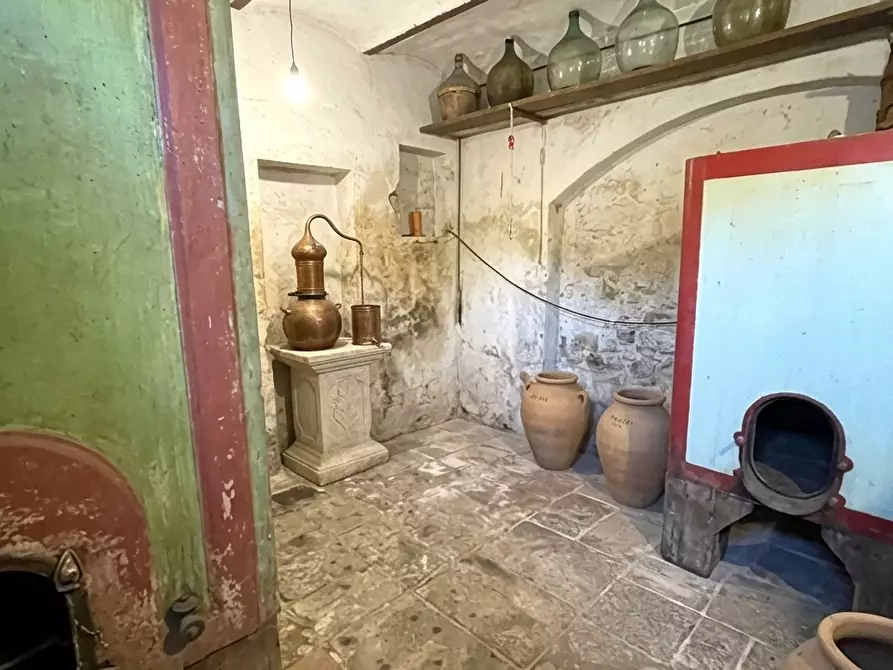 Immagine 12 di Terratetto in vendita  a Capannoli