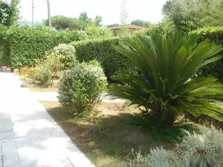 Immagine 42 di Appartamento in vendita  a Massa