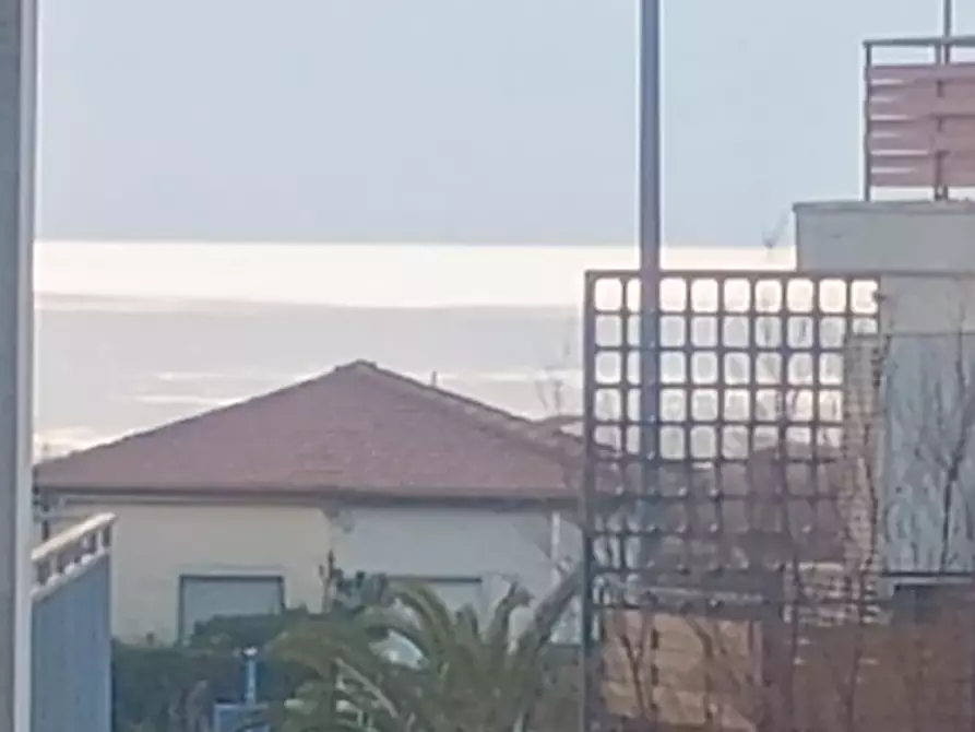 Immagine 56 di Appartamento in vendita  a Viareggio