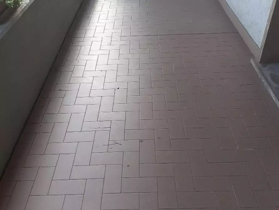 Immagine 18 di Appartamento in vendita  a Massa