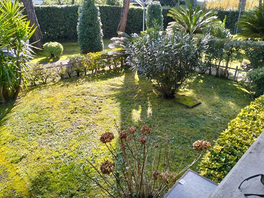 Immagine 2 di Appartamento in vendita  a Massa