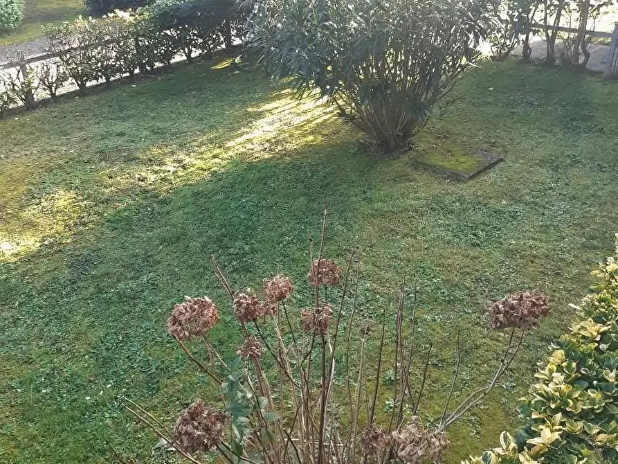 Immagine 3 di Appartamento in vendita  a Massa