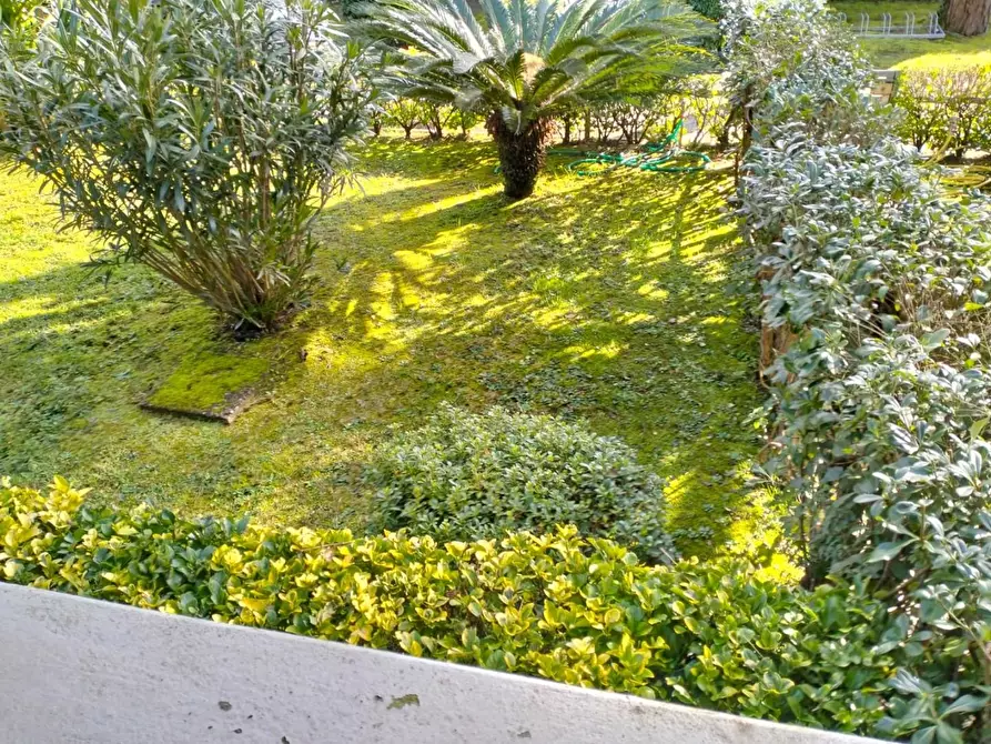 Immagine 31 di Appartamento in vendita  a Massa