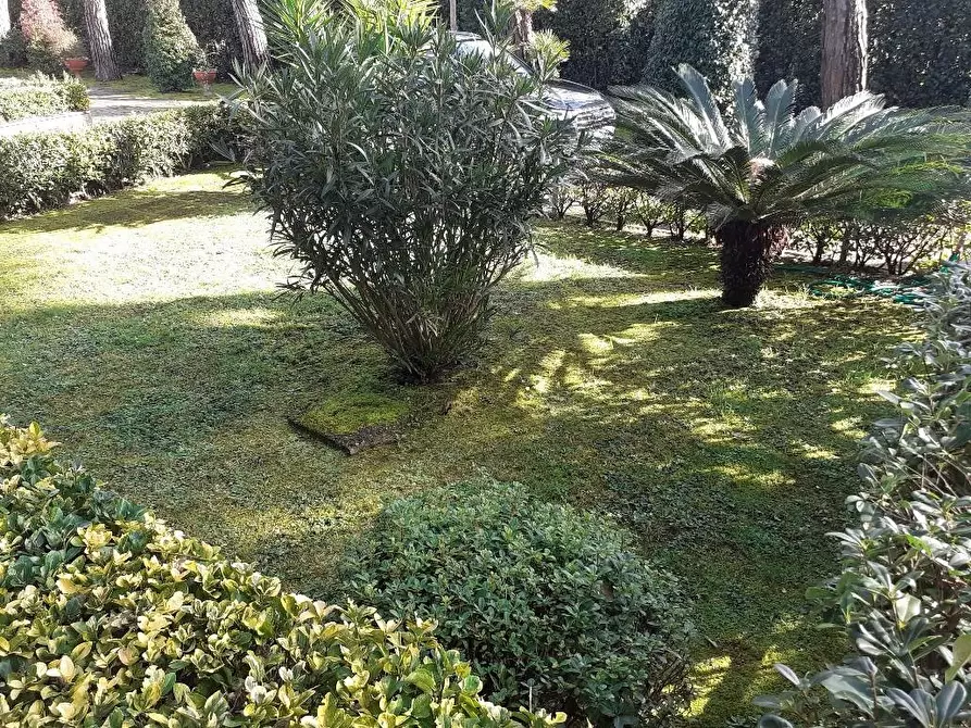 Immagine 4 di Appartamento in vendita  a Massa