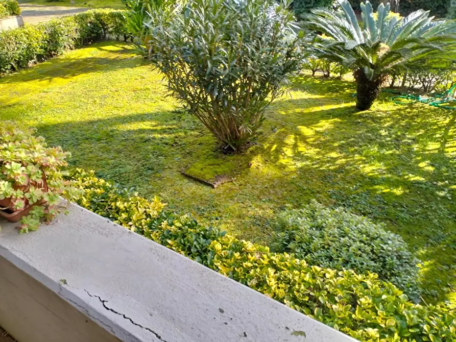 Immagine 42 di Appartamento in vendita  a Massa