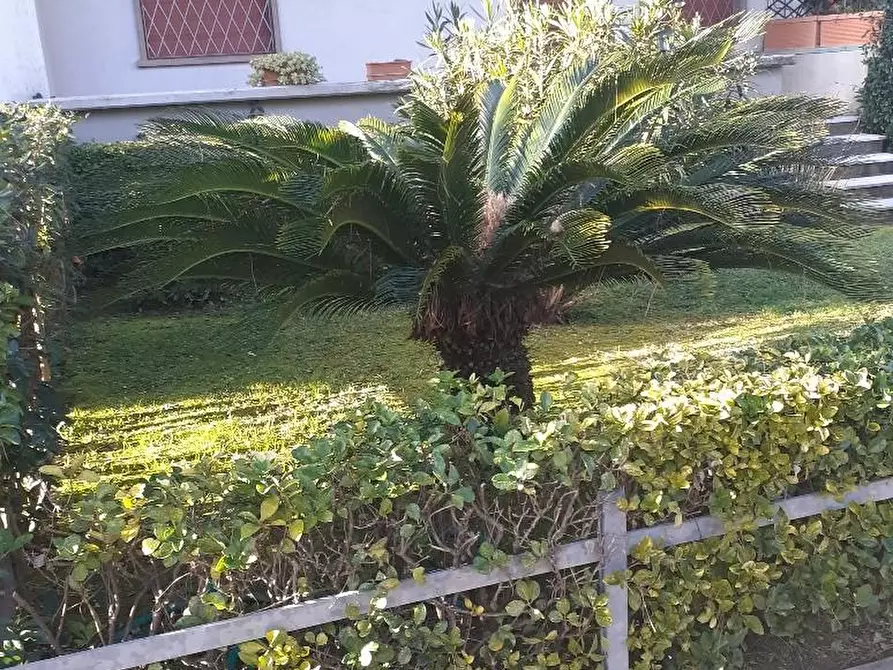 Immagine 20 di Appartamento in vendita  a Massa