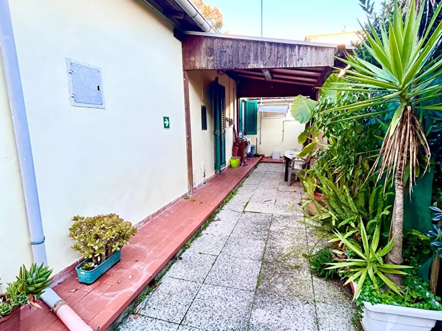 Immagine 16 di Casa indipendente in affitto  a Pisa