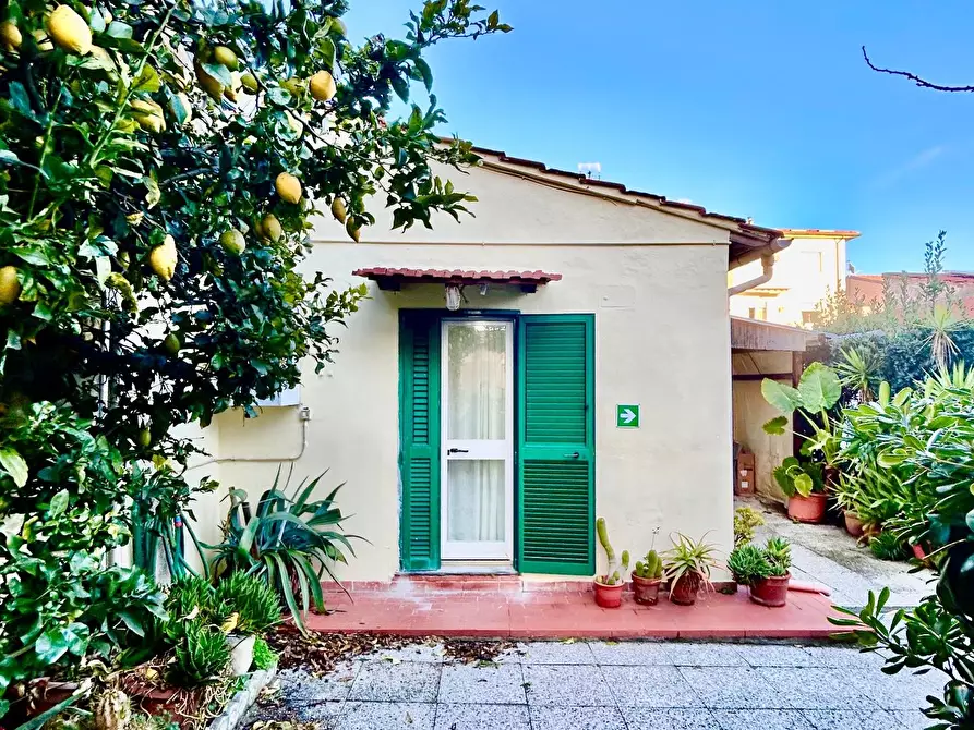Immagine 21 di Casa indipendente in affitto  a Pisa