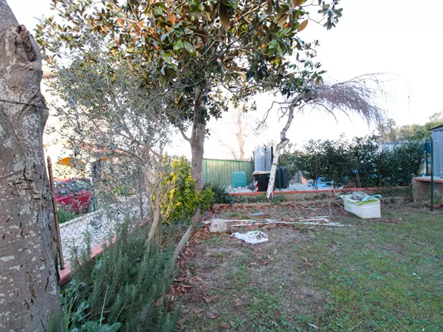 Immagine 2 di Terratetto in vendita  a Casciana Terme Lari