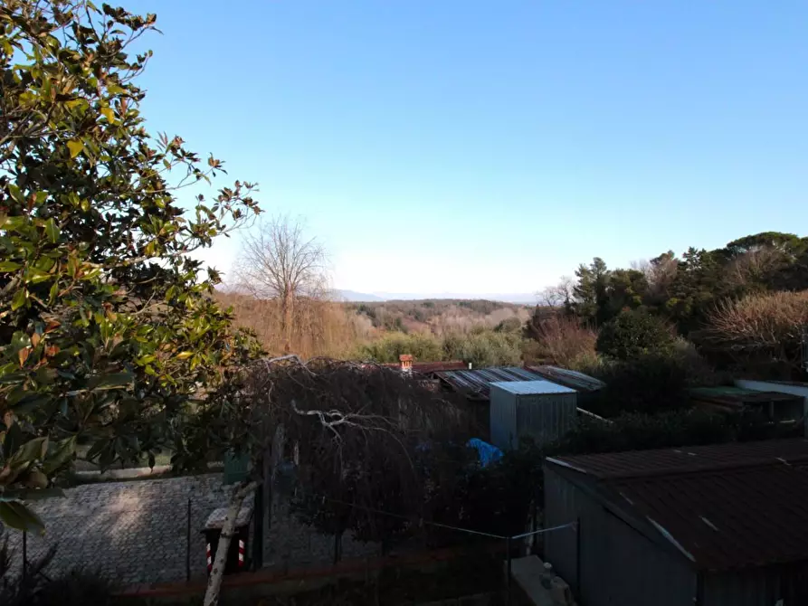 Immagine 15 di Terratetto in vendita  a Casciana Terme Lari