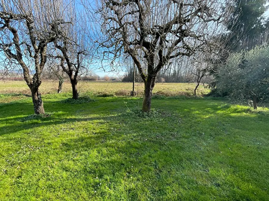 Immagine 17 di Deposito in vendita  a Lucca