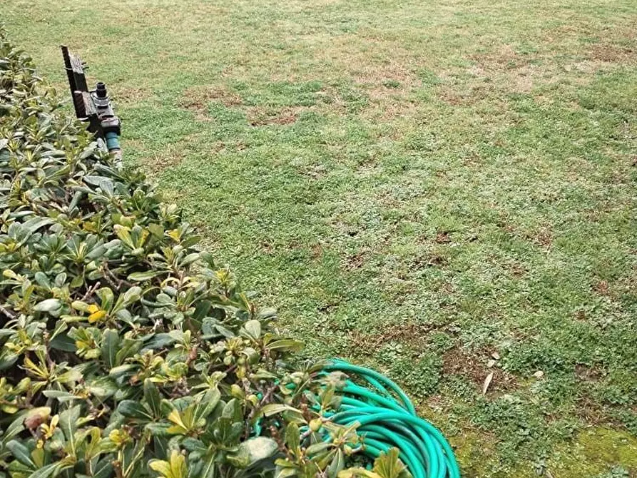 Immagine 6 di Villetta a schiera in vendita  a Massa