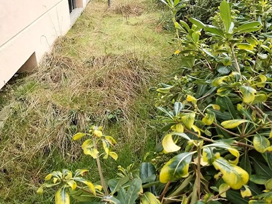 Immagine 5 di Villetta a schiera in vendita  a Massa