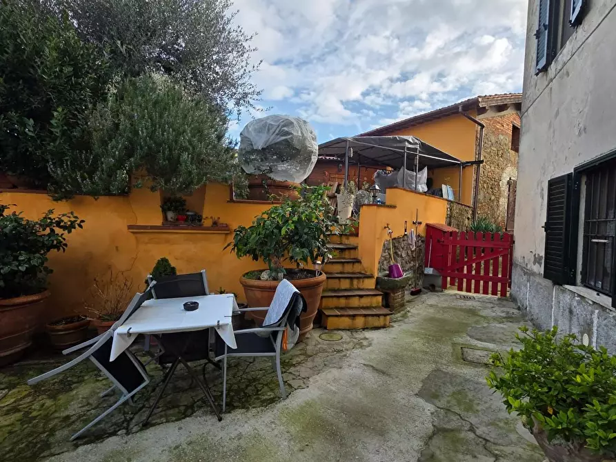 Immagine 31 di Terratetto in vendita  a Lamporecchio