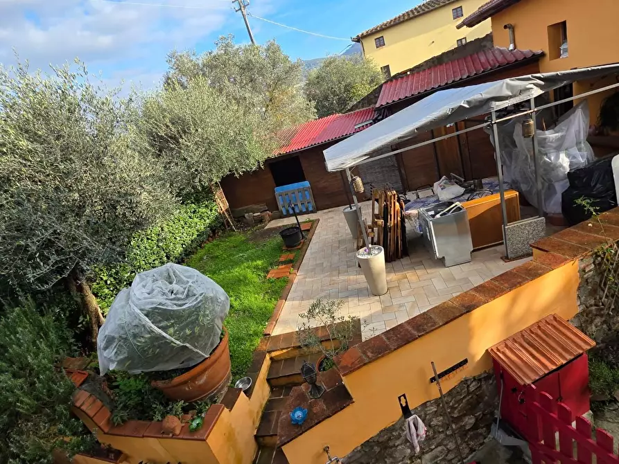 Immagine 30 di Terratetto in vendita  a Lamporecchio