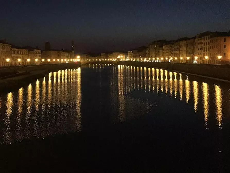 Immagine 9 di Terratetto in vendita  a Pisa