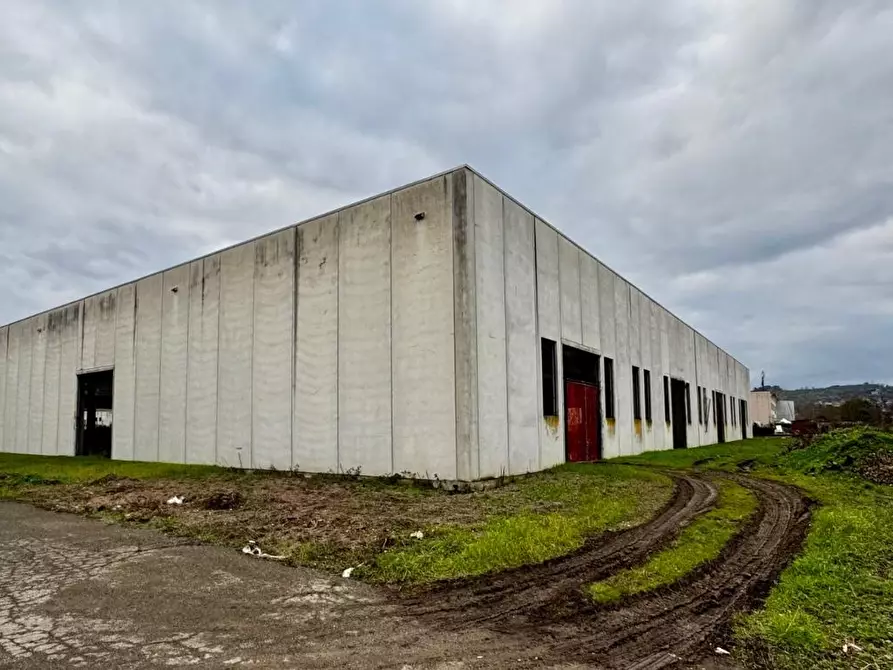 Immagine 4 di Capannone industriale in vendita  a Figline E Incisa Valdarno