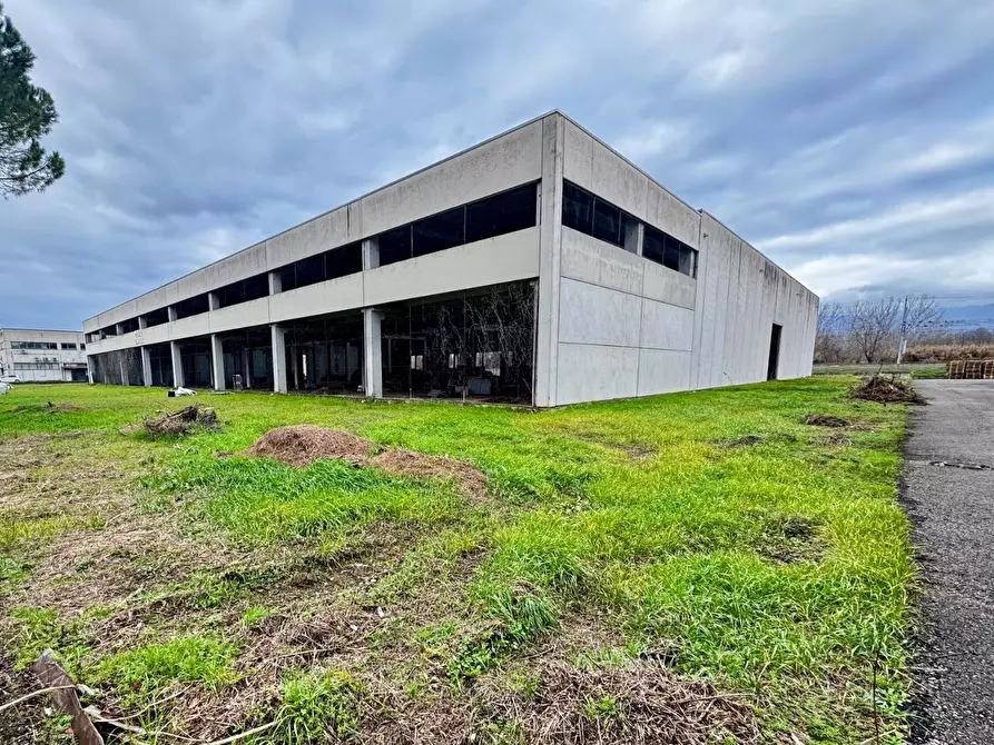 Immagine 5 di Capannone industriale in vendita  a Figline E Incisa Valdarno