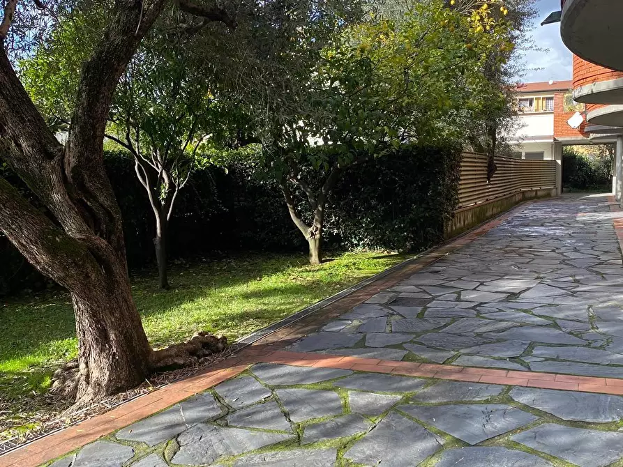 Immagine 4 di Appartamento in vendita  a Massa