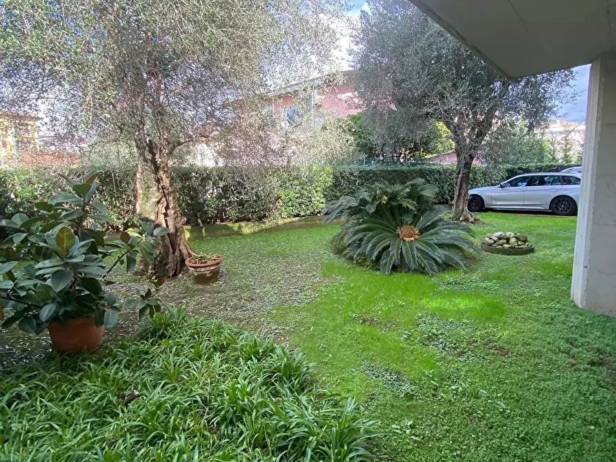 Immagine 6 di Appartamento in vendita  a Massa