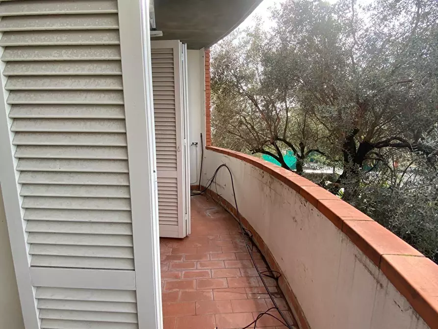 Immagine 14 di Appartamento in vendita  a Massa