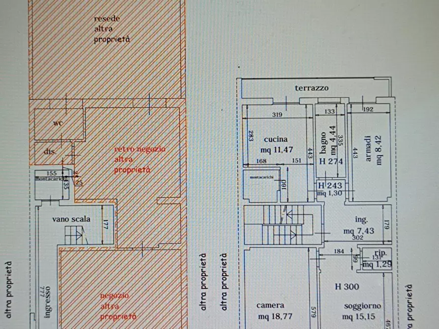 Immagine 5 di Appartamento in vendita  a Viareggio