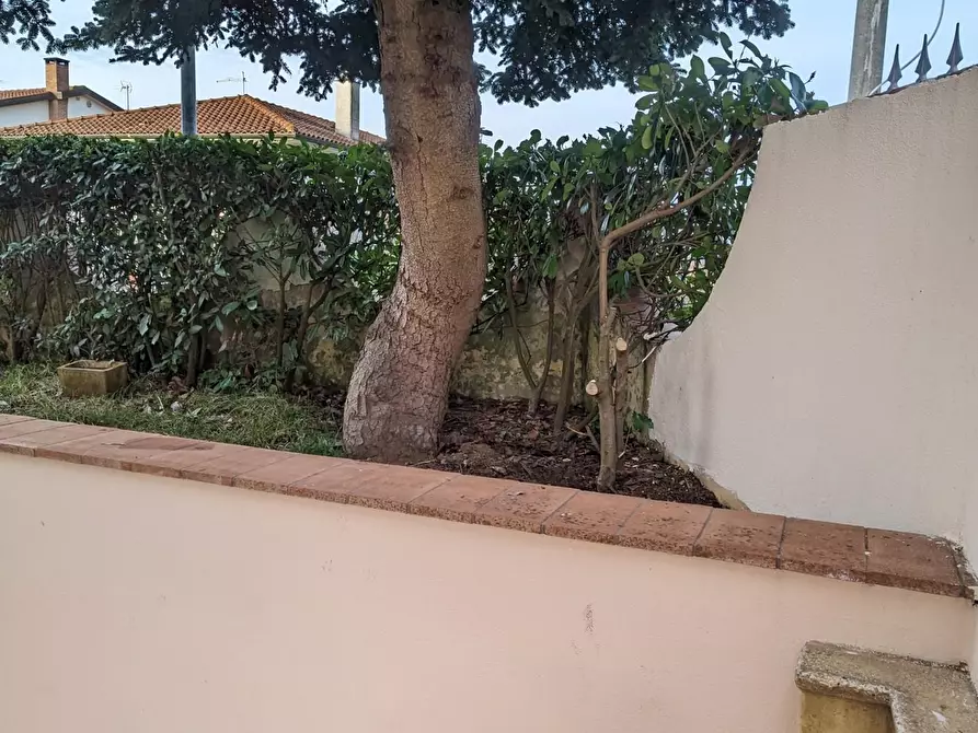 Immagine 5 di Appartamento in vendita  a Montopoli In Val D'arno