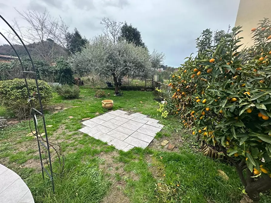 Immagine 3 di Terratetto in vendita  a Carrara