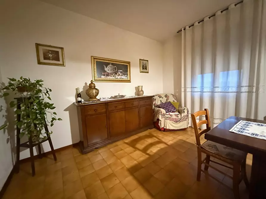 Immagine 5 di Appartamento in vendita  a Peccioli