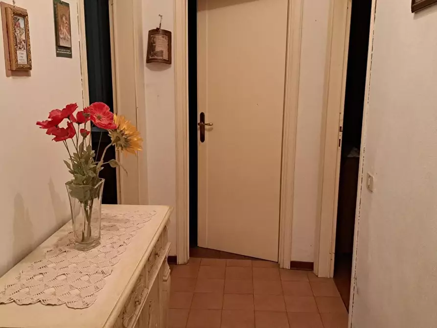 Immagine 13 di Appartamento in vendita  a Peccioli