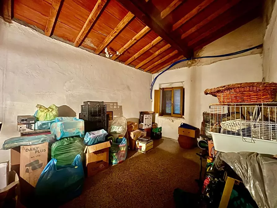 Immagine 5 di Appartamento in vendita  a Palaia
