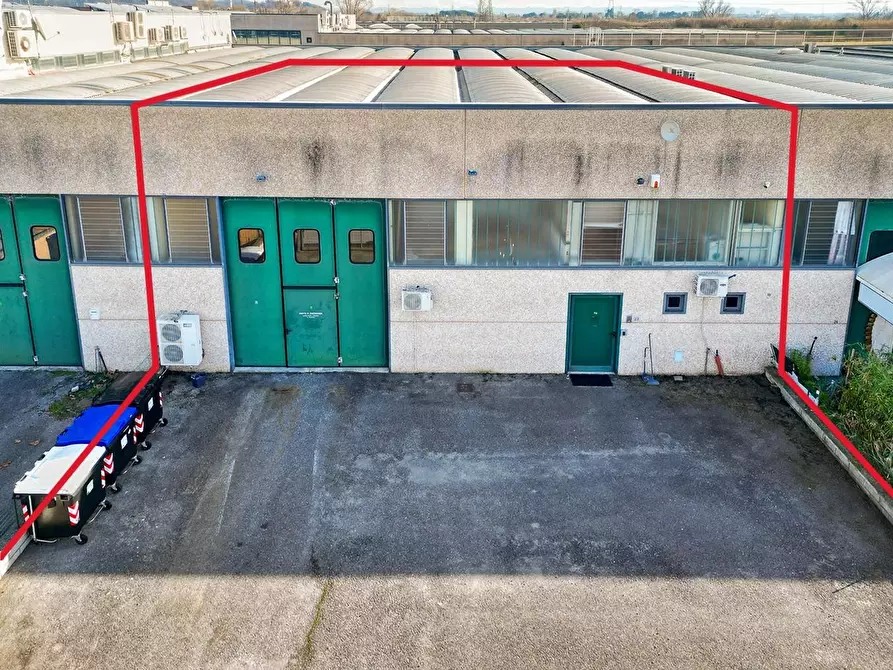 Immagine 1 di Attività artigianale in vendita  a Vicopisano