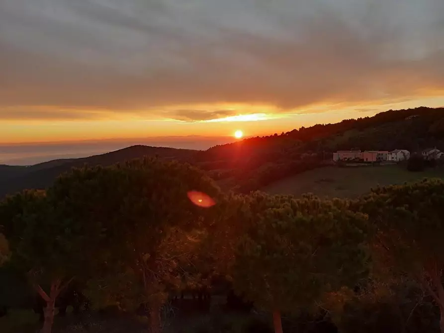 Immagine 7 di Appartamento in vendita  a Rosignano Marittimo