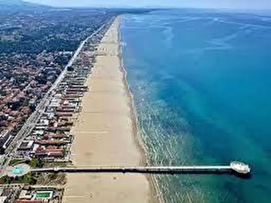 Immagine 14 di Capannone industriale in vendita  a Camaiore