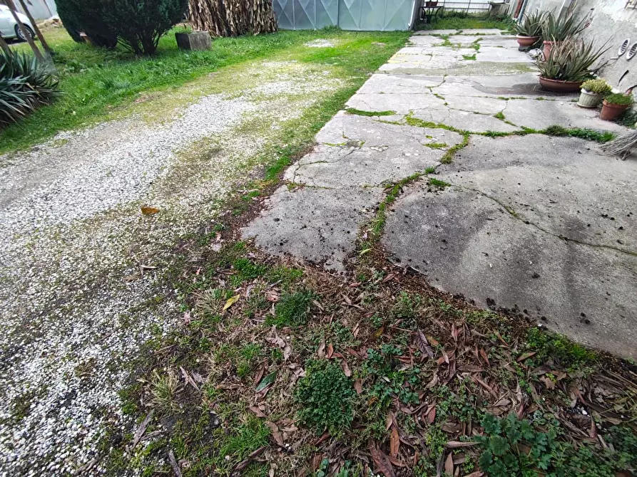 Immagine 3 di Casa indipendente in vendita  a Lucca