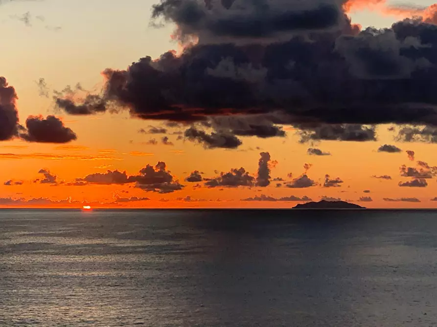 Immagine 13 di Appartamento in vendita  a Livorno