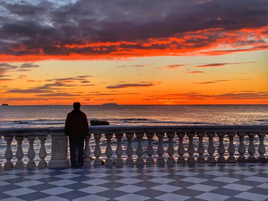 Immagine 12 di Appartamento in vendita  a Livorno