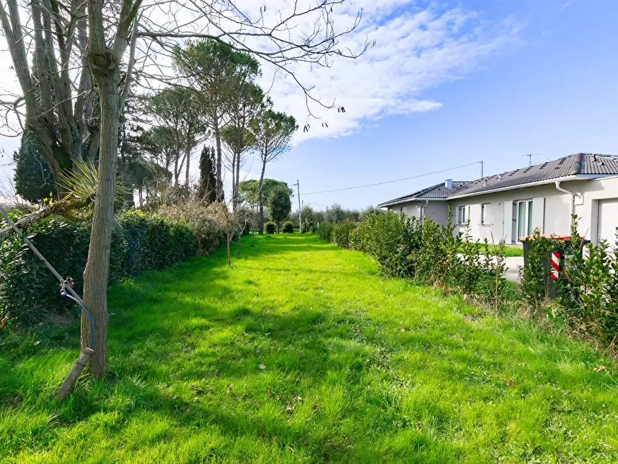 Immagine 2 di Rustico / casale in vendita  a Pontedera