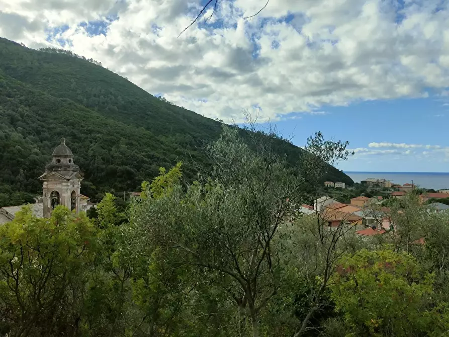 Immagine 2 di Terreno residenziale in vendita  a Deiva Marina