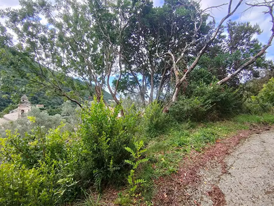 Immagine 8 di Terreno residenziale in vendita  a Deiva Marina