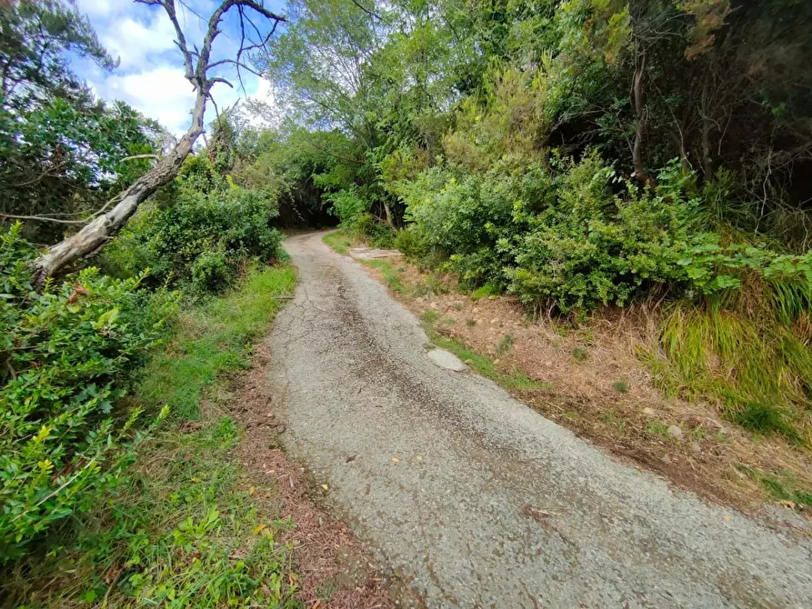 Immagine 9 di Terreno residenziale in vendita  a Deiva Marina