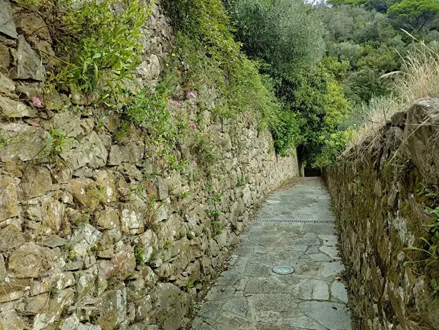 Immagine 11 di Terreno residenziale in vendita  a Deiva Marina