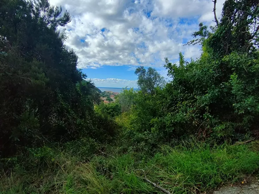 Immagine 13 di Terreno residenziale in vendita  a Deiva Marina
