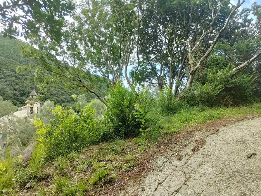 Immagine 7 di Terreno residenziale in vendita  a Deiva Marina